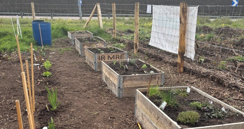 L'espace floriculture ça avance 