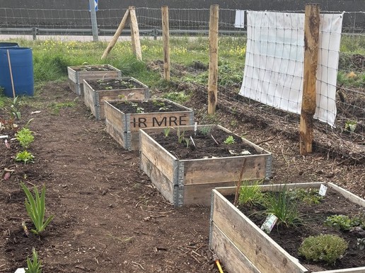 L'espace floriculture ça avance 